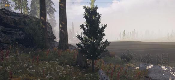 《孤岛惊魂5》圣坛位置及摧毁圣坛方法 怎么摧毁圣坛？ 3