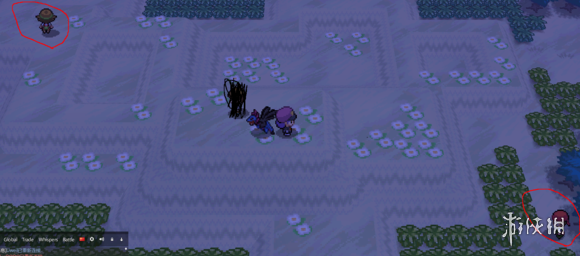 《pokemmo手游》12号道路有哪些NPC 12号道路刷钱技巧 1