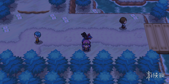 《pokemmo手游》10号道路有哪些NPC 10号道路刷钱技巧 2