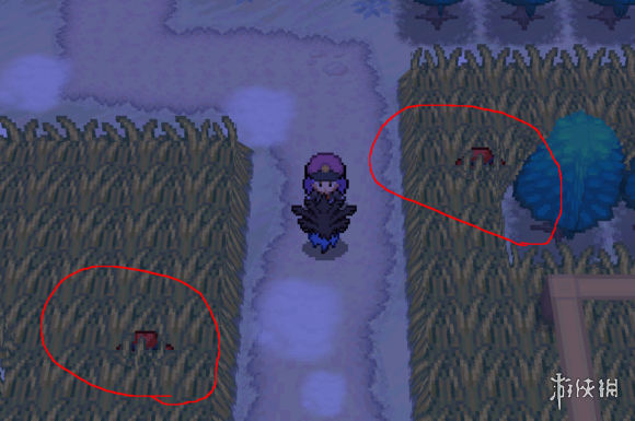 《pokemmo手游》合众地区7号道路怎么过 7号道路刷钱技巧 1