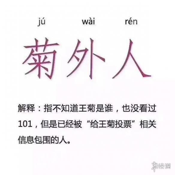 菊外人到底是什么梗 创造101王菊火爆第一幕后原因 5