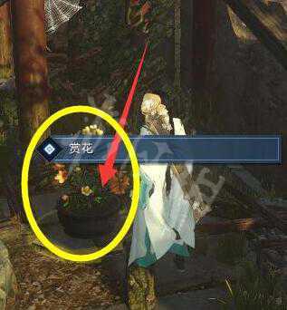 《逆水寒》饮者追命任务完成攻略 饮者追命拨云见日怎么做? 10