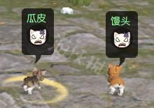 《逆水寒》馒头瓜皮胖屁猫咪好感度攻略 猫怎么逗？ 6