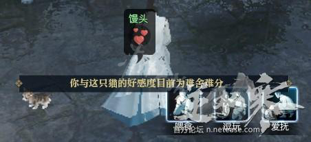《逆水寒》馒头瓜皮胖屁猫咪好感度攻略 猫怎么逗？ 4