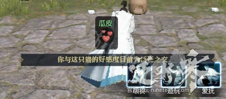 《逆水寒》馒头瓜皮胖屁猫咪好感度攻略 猫怎么逗？ 3