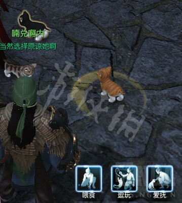 《逆水寒》大宋铲屎官称号获取图文指南 大宋铲屎官称号怎么获得？ 5