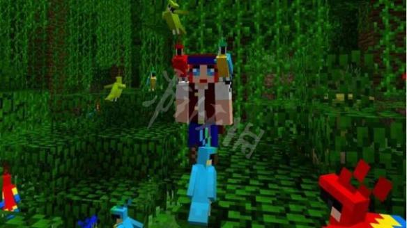 《我的世界》驯服鹦鹉教程详解 鹦鹉怎么驯服? 3