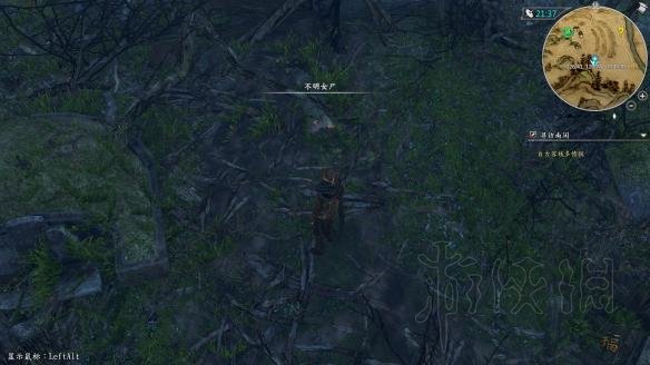 《河洛群侠传》新手入门教程 新手全流程攻略 34