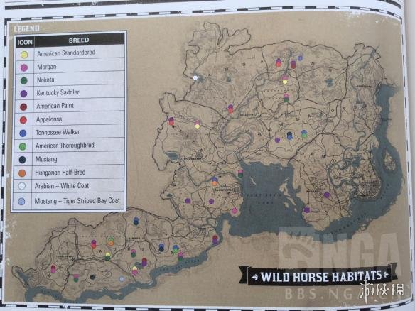《荒野大镖客2》马匹大全 全马匹获得方式一览 1