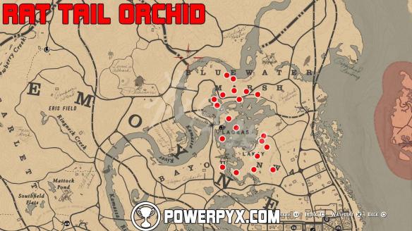 《荒野大镖客2》全稀有花朵位置地图标注 稀有花朵在哪里？ 11