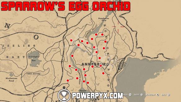 《荒野大镖客2》全稀有花朵位置地图标注 稀有花朵在哪里？ 12