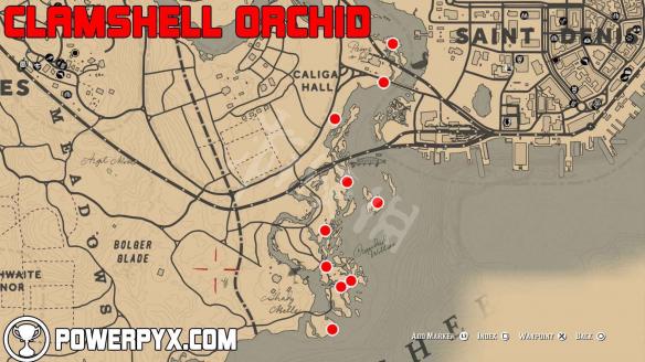 《荒野大镖客2》全稀有花朵位置地图标注 稀有花朵在哪里？ 3