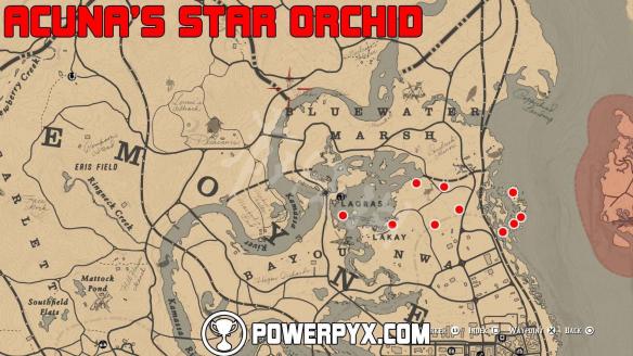 《荒野大镖客2》全稀有花朵位置地图标注 稀有花朵在哪里？ 1