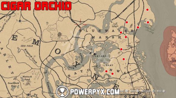 《荒野大镖客2》全稀有花朵位置地图标注 稀有花朵在哪里？ 2