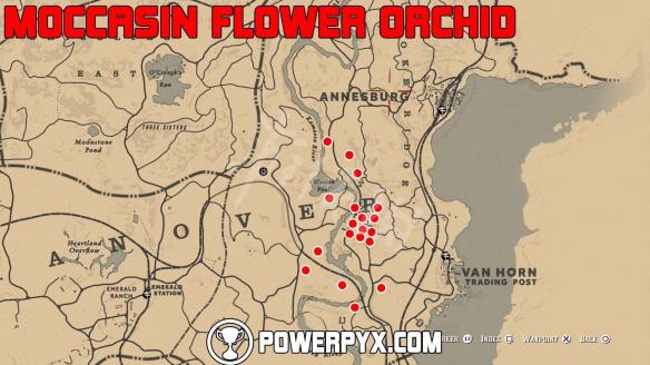《荒野大镖客2》全稀有花朵位置地图标注 稀有花朵在哪里？ 8