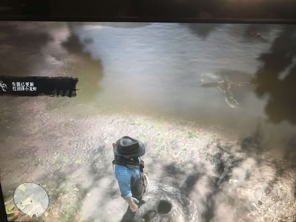 《荒野大镖客2》小龙虾的位置在哪里？小龙虾位置一览 5