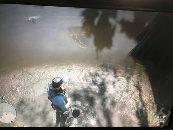 《荒野大镖客2》小龙虾的位置在哪里？小龙虾位置一览 4