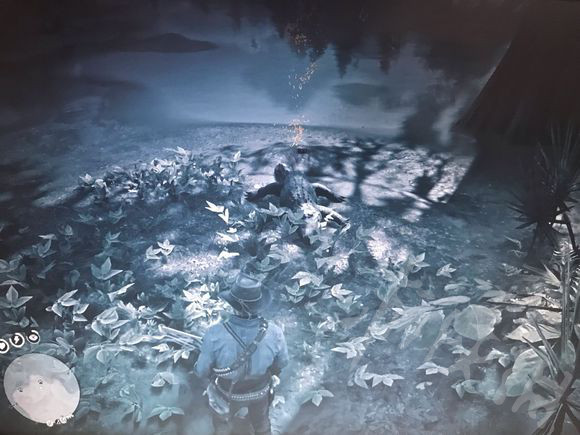 《荒野大镖客2》小龙虾的位置在哪里？小龙虾位置一览 3