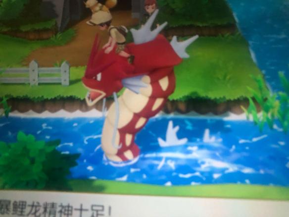 《精灵宝可梦LetsGo皮卡丘伊布》刷闪鲤鱼王及闪小火龙经验技巧 11