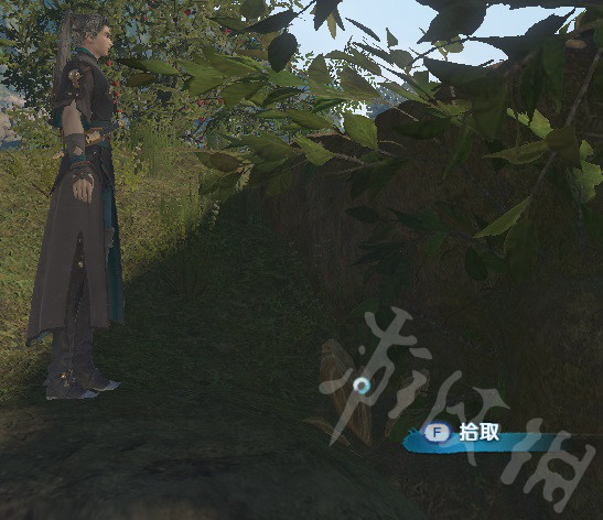 《古剑奇谭3》光明野和栖霞有哪些可搜集物品?光明野和栖霞可搜集物品位置一览 5
