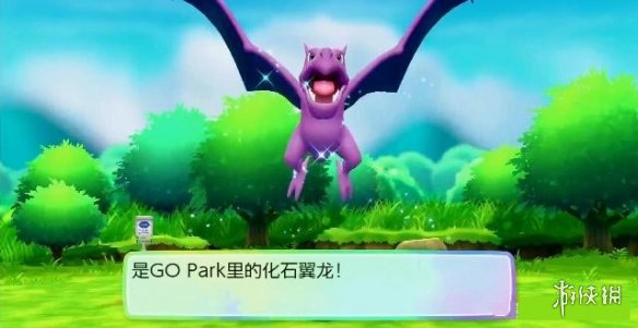 《精灵宝可梦皮卡丘伊布》连锁站桩刷闪光方法介绍 2