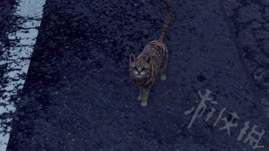 《审判之眼死神的遗言》地图中有哪些猫？游戏地图中猫一览 3