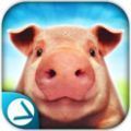 模拟猪生游戏v1.01