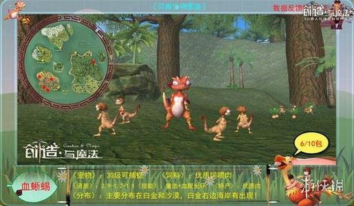 《创造与魔法》高级宠物怎么合成 高级宠物合成攻略 1