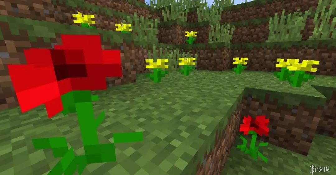 《我的世界》各类鲜花生长地点 鲜花收集控必看 1