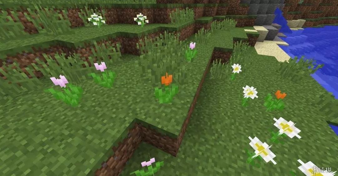 《我的世界》各类鲜花生长地点 鲜花收集控必看 2