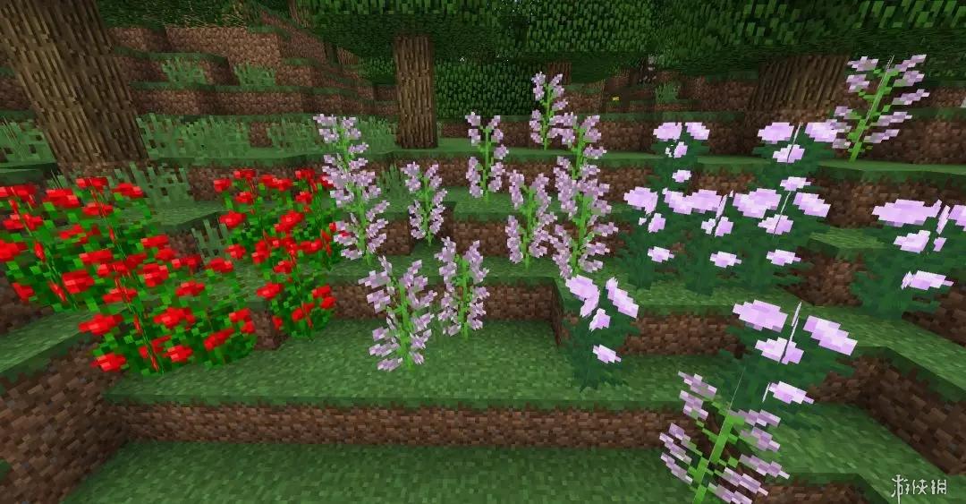 《我的世界》各类鲜花生长地点 鲜花收集控必看 4