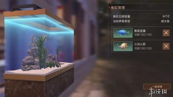 《明日之后》鱼缸颜色选择 水族箱颜色的变化 2