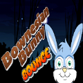 波尼西亚兔子跳跃v1.0