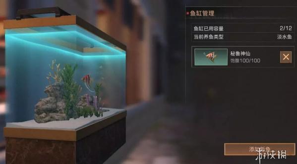 《明日之后》鱼缸颜色选择 水族箱颜色的变化 1