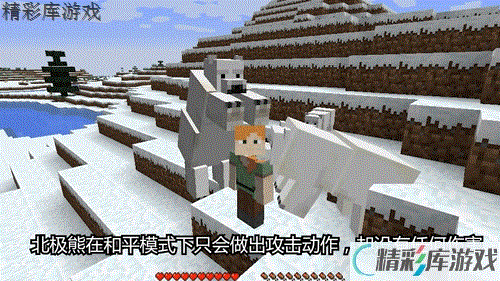 《我的世界》怎么把北极熊带回家 我的世界圈养北极熊方法 2