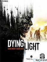 消逝的光芒 游戏画面设置工具 