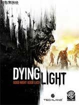 消逝的光芒 预载版游戏解锁工具+游侠原创免DVD补丁修正版(感谢游侠会员thegfw原创提供 