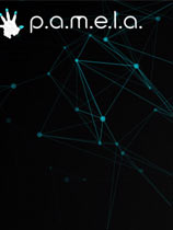 帕梅拉 v0.4.5.2十项修改器MrAntiFun版 