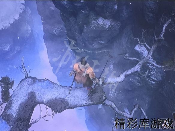 《只狼影逝二度》隐藏boss在哪里 隐藏boss无头位置一览 4