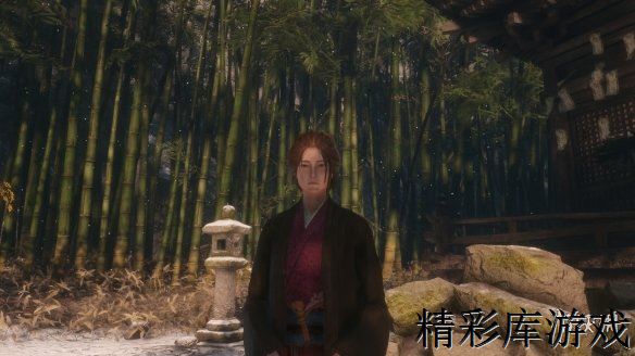 《只狼影逝二度》赤鬼各种无伤打法分享 只狼赤鬼打法视频分享 4