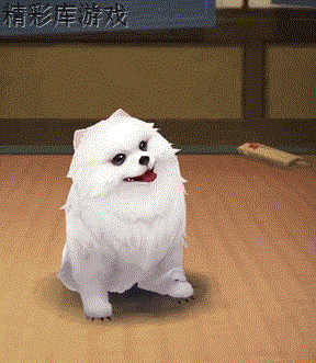 《阴阳师》新宠物赤雪犬怎么获得 守护的契约活动赤雪犬欣赏 6