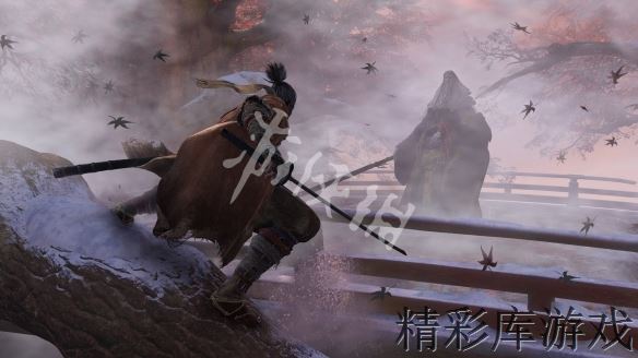 《只狼影逝二度》忍义手获取位置视频攻略 忍义手都在哪？ 1