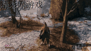 《只狼影逝二度》速通小技巧分享 怎么快速到达赤鬼所在地 6