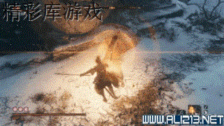 《只狼影逝二度》蛇眼招式分析 蛇眼白秋打法思路分享 6