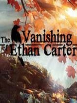 伊森卡特失踪之谜 伊森卡特失踪之谜8K分辨率游戏截图