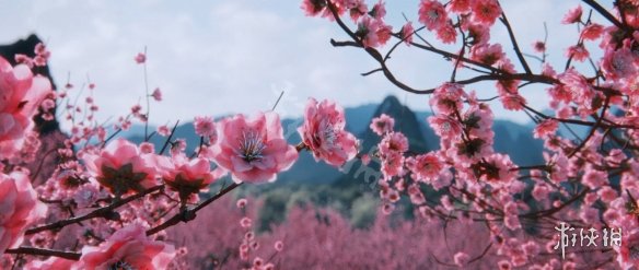 《全面战争三国》补员慢怎么办 补员增强MOD使用方法介绍 2