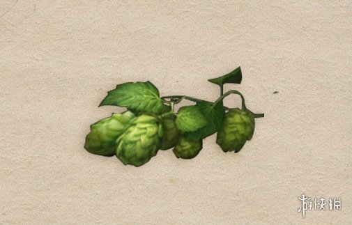 《明日之后》辐射高校版本新采集资源介绍 楠木水银蛇麻获取方式一览 3