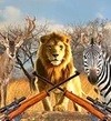 非洲丛林狩猎v1.2
