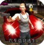 汽车盗窃逃生v1.0