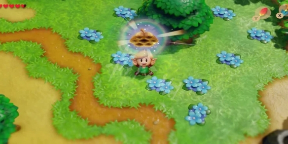 《塞尔达传说梦见岛》蜂窝怎么获得?蜂窝获得方法介绍 1